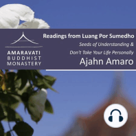11 – Dhamma is not an Ideal