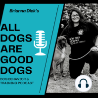 S2. E5. Will Arnaout Freakin Pawsome "What's your process of addressing dog behavior?"