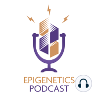 The Epigenetics of Human Sperm Cells (Sarah Kimmins)