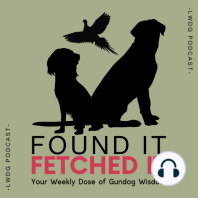 79. Training Gundogs: Taming the Perfection Monster and Embracing Imperfection