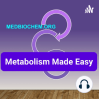 What a ketogenic diet teaches us about metabolism?