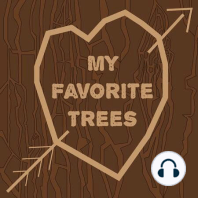 Ep. 24-The Spice Trees 1 (Cinnamon and Peppercorn)