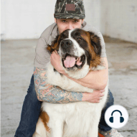 E029- No Bad Dogs Podcast/ New Dog Training Laws with KD Mathews