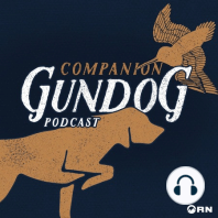 Companion Gundogs Development Part 2: The Crate