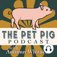 What is Earthing and Why Does Our Pet Pig Need to Do it?  with Clint Ober