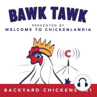 Backyard Chickens Q&A + My Book is Out!