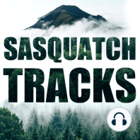 Kathy Strain: An Anthropologist's Search for Sasquatch | ST 043