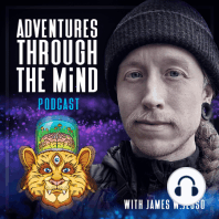 Multiple Selves Without a Central Self | Jordan Gruber ~ ATTMind 168