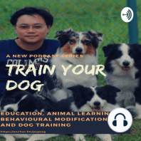 DTS007 Train Your Dog Podcast - What Training Suits Me Dog You Say