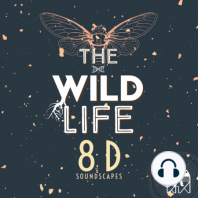 Introducing The Wild Life: 8D Soundscapes