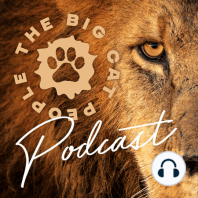 EPISODE 08: Becoming the Big Cat People – 'From Africa to Antarctica'