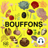 #137 - Bouffons x Splash : Pourquoi consomme-t-on autant de lait ?