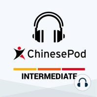 Intermediate | Arriving in China on Business