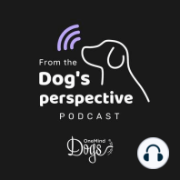 Pamela Harju discusses the importance of dogs for our mental health | Episode 3