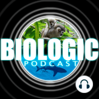 Episode 38 - Behavioral Ecology