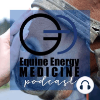 E: 003 Subtle Energy Frequencies and Horses