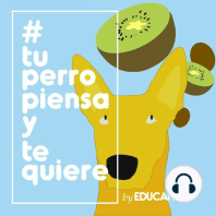 Episodio 3 – TPPyTQ instagrama multicast – ¡Ronda rápida de preguntas y respuestas!