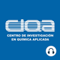 Serie La candelilla: Cápsula 6 - Investigaciones a partir de la candelilla.