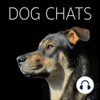 Episode 11: Do You Speak Dog?