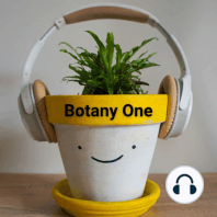 What Sound Does Botany Make?