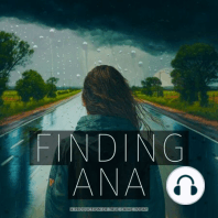 Did Ana Walshe's Mother-in-Law Hold the Key to Her Disappearance? Inside the Tangled Tale of a Private Investigator's Pursuit