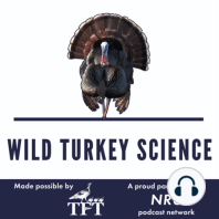 Wild turkey populations in PA (Part 1/2) | #25