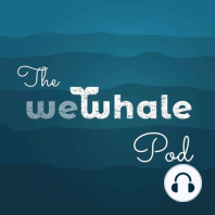 Episode 6 - Jennifer Lonsdale, co-founder of the Environmental Investigation Agency