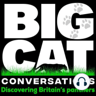 BCC EP:95   Living with leopards - Africa & Britain compared