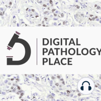 DIY AI-based image analysis for pathology. How DeePathology incorporated respect for pathologists' time into their software w/ Chen Sagiv