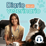 Ep. 25 Tipos de especialidades en veterinaria