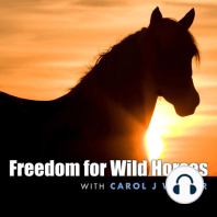 8. Wild Horse Holding Facilities