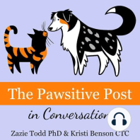 The importance of kindness in dog training with Jane Wolff