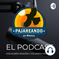 Espisodio 4 - Top 5 lugares para pajarear en la Ciudad de México
