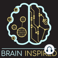 BI 167 Panayiota Poirazi: AI Brains Need Dendrites