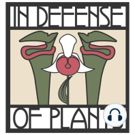 Ep. 423 - Plant-Microbe Interactions are Complex