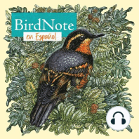 ¿Cuál es la primera especie de ave en cantar por la mañana?