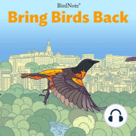 No Birds Were Harmed in the Making of this Podcast