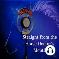 S6E11 Equine Acupuncture and Chiro