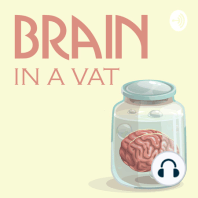 Putnam on the Brain in a Vat | David Macarthur