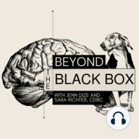 Episode 1: Cognitive Distortions