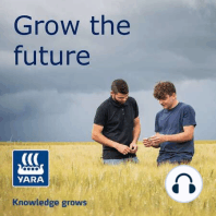 Forage for Knowledge