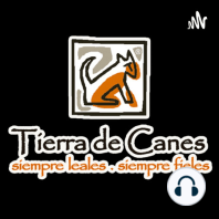 Campeones de Disc Dog, Copa Peek´-Tierra De Canes