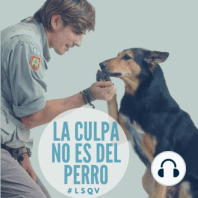 "El truco de la lámpara" el encantador de perros argentino y la desopilante anécdota de cómo empezó todo.