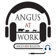 An Australian Angus Exchange: Perspectives from Rebecca George and Dan Moser