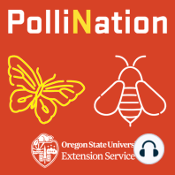 238 - National Pollinator Week 2023