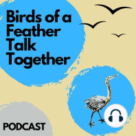 6: Frigatebird, The Gular Pouch, and Flying High For Fun?