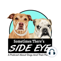 Introduction - Sometimes There's Side Eye: A podcast about two friends having real and unfiltered conversations about dogs and people.