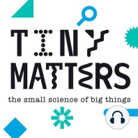 Want to win a Tiny Matters mug? Send us your questions!