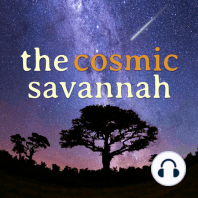 Episode 60: Pulsars and possibilities – a conversation with Jocelyn Bell-Burnell