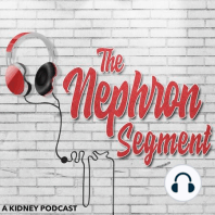 Episode 3: "Get to Know the Person Before the [Kidney] Disease"